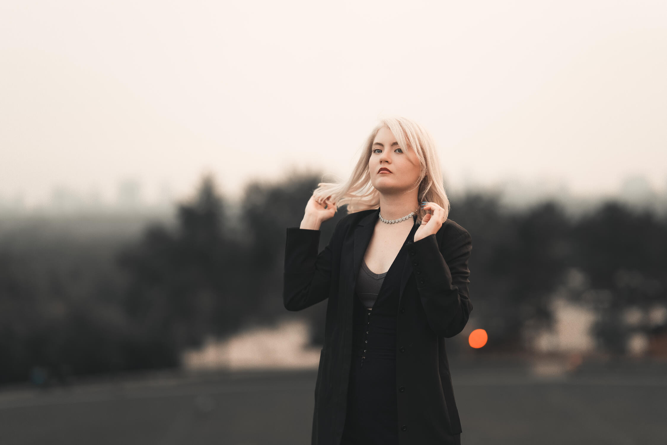 North York Park model portrait